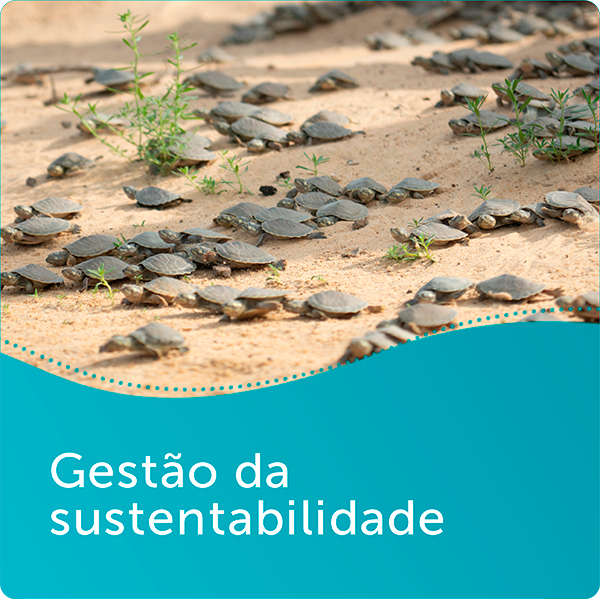 Gestão da sustentabilidade